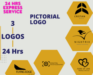 Express Logo Design Service – Professional Logo Delivered in 24 Hours!